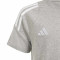 Maglietta adidas Tiro 24 Cotton Boxeo Niño Titan Combat