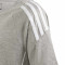 Maglietta adidas Tiro 24 Cotton Boxeo Niño Titan Combat