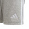 Pantaloncini adidas Tiro 24 Cotton Niño Titan Combat