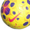 Pallone Nike Control 2025-2026