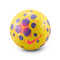 Pallone Nike Control 2025-2026