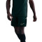 Pantaloncini Nike Academy 25 Dri-FIT Br