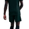 Pantaloncini Nike Academy 25 Dri-FIT Br