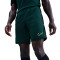 Pantaloncini Nike Academy 25 Dri-FIT Br