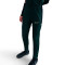 Pantaloni  Nike Academy 25