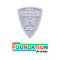Patch Campione Euro + UEFA Foundation 