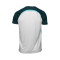 Maglietta Hummel Malaga CF Training 2025-2026