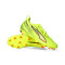 Scarpe Puma Ultra 6 Pro FG/AG da Bambino