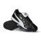 Scarpe Puma King Top Turf