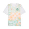 Maglia Puma Costa D'Avorio Away Mondiali 2026