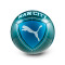 Pallone Puma Manchester City
