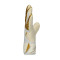 Guanti Reusch Ab1 Strictly Limited Edition 2025