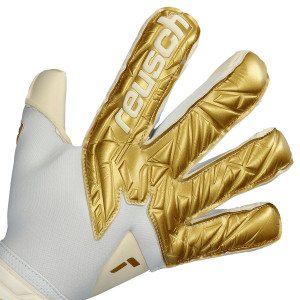 DORSO-2