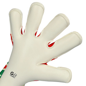 PALMO-1