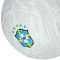 Pallone Nike Brazil 2025-2026