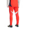 Pantaloni  adidas Fc Bayern Training 2025-2026