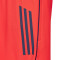 Pantaloncini adidas FC Bayern Training 2025-2026