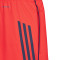 Pantaloncini adidas FC Bayern Training 2025-2026