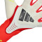 Guanti adidas Predator Pro Hybrid