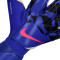 Guanti Nike Vapor Grip3