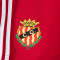 Pantaloncini adidas Gimnàstic de Tarragona Training Giocatori 2025-2026