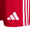 Pantaloncini adidas Gimnàstic de Tarragona Training Giocatori 2025-2026