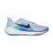 Scarpe Nike Air Zoom Pegasus 41