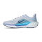 Scarpe Nike Air Zoom Pegasus 41