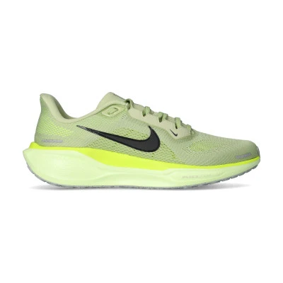 Scarpe Air Zoom Pegasus 41