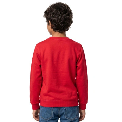 Felpa Customizable Cotone Park 26 Bambino