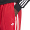 Pantaloni  adidas Baggy