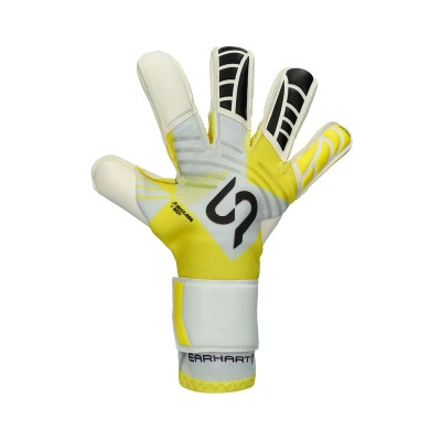 Guanti Earhart Competition