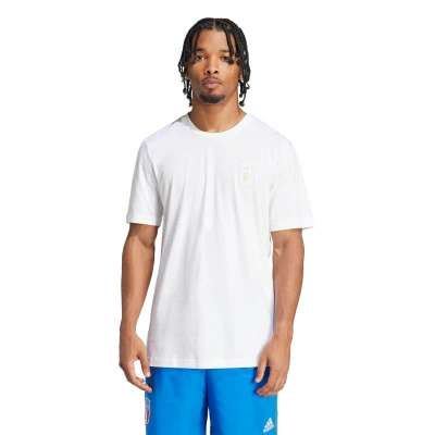 Maglietta Maglia Italy FIGC