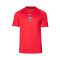 Maglietta Nike RCD Mallorca Fanswear Dri-Fit Academy