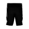 Pantaloncini Jordan Team 25
