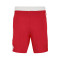 Pantaloncini Jordan Team 25