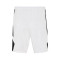 Pantaloncini Jordan Team 25
