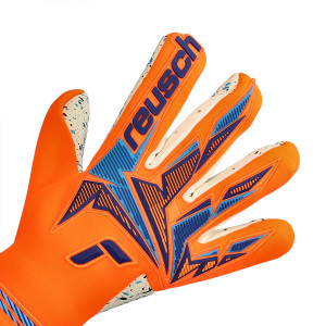 DORSO-2