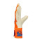 Guanti Reusch Attrakt Gold X Evolution