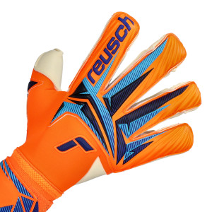 DORSO-2