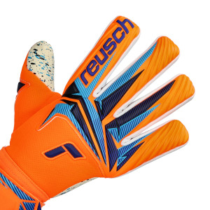 DORSO-2
