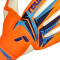 Guanti Reusch Attrakt Gold X Nc