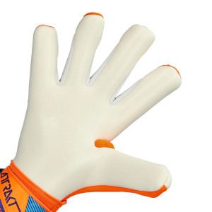 PALMO-1