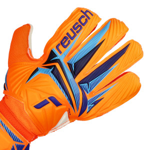 DORSO-2