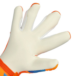 PALMO-1