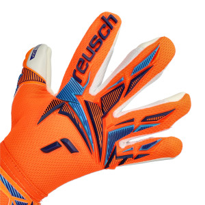 DORSO-2