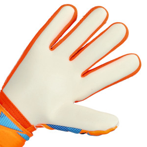 PALMO-1