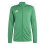 Entrada 26-Team Green-White