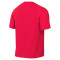 Maglia Nike Park VIII