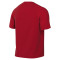 Maglia Nike Park VIII